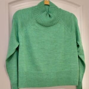 NEVER WORN Eileen Fisher turtleneck sweater